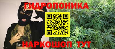 ПСИЛОЦИБИНОВЫЕ ГРИБЫ Бузулук